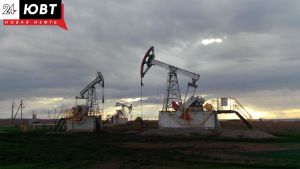 В Альметьевске прошел профориентационный интенсив «Путь в профессию: инженер-нефтяник»