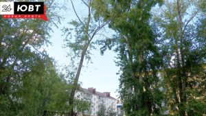 Альметьевцы могут поучаствовать в экологической акции «Сад памяти» в честь погибших в ВОВ