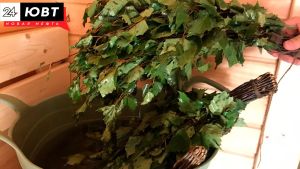 Житель Казани хотел купить баню, но стал жертвой мошенников