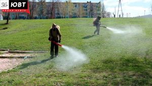 Парки Альметьевска обработают от клещей