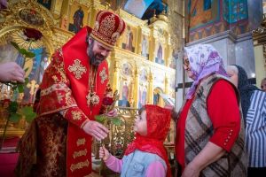 Обзор событий Альметьевской епархии