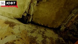 Подвал одного из домов Альметьевска превратился в рассадник сырости и плесени