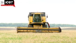 Альметьевские аграрии засеяли 15 тыс. гектаров яровых культур