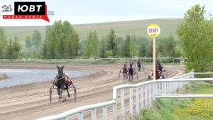 В Альметьевском районе пройдет открытие бегового и скакового сезона