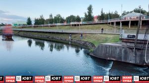 Причину гибели рыбы на Каскаде прудов назвали специалисты