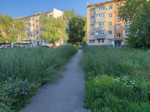 Сатирическим пером: неудачное сновидение