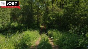 Сезон охоты на барсука стартует в Татарстане