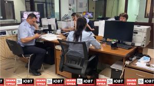236 случаев мошенничества зафиксировали полицейские с начала года
