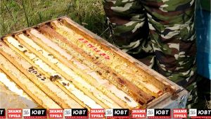 Юные жители Альметьевска отметили Медовый Спас