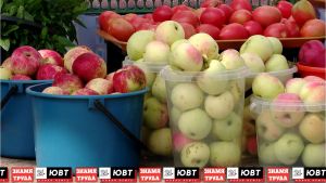 Жителям Альметьевска рассказали, как выбрать вкусные и сочные яблоки