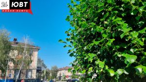 Альметьевцам представили афишу «Культурной среды города» на 7 и 8 августа