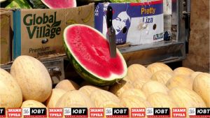 Диетолог заявила, что арбуз положительно влияет на репродуктивную систему мужчин