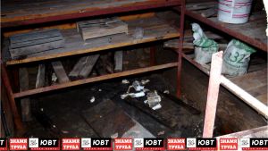 Жителям Альметьевска напомнили о мерах безопасности при спуске в погреб