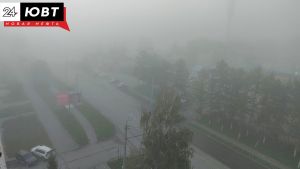 МЧС напоминает правила безопасности во время тумана в РТ