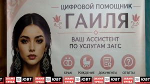 В Татарстане появился цифровой помощник «Гаиля»