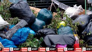 Жители Альметьевска жалуются на свалки у контейнерных площадок
