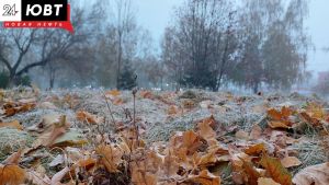 Заморозки и -2 градуса ожидается в Татарстане 30 сентября