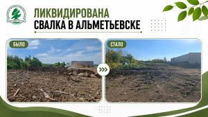 В Альметьевске ликвидировали свалку площадью более тысячи квадратных метров