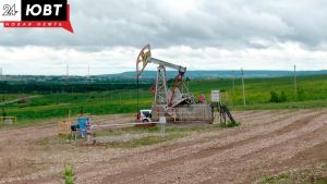 Российская нефть может заменить импортное сырьё для лечебных мазей