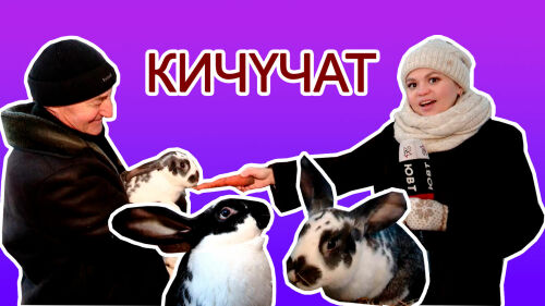 Рустам Гараев из Альметьевского района разводит 15 лет кроликов