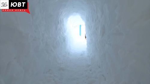 В Альметьевском районе пенсионер прорубил тоннель в сугробе для супруги-инвалида