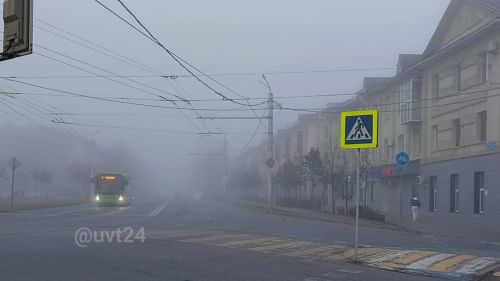 МЧС предупредило альметьевцев о тумане в ближайшие сутки