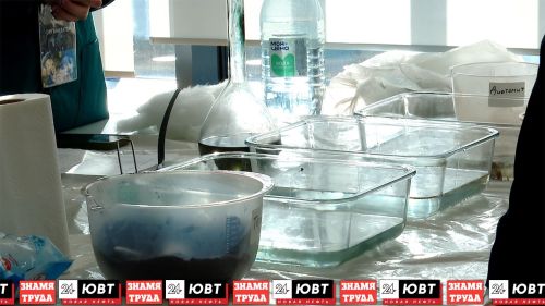Более 700 школьников приняли участие в научном фестивале в Альметьевске
