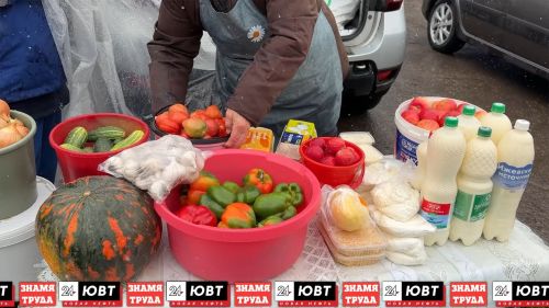 Сельскохозяйственная ярмарка начала работу в Альметьевске