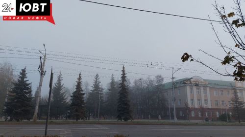 Татарстанцев предупредили о тумане