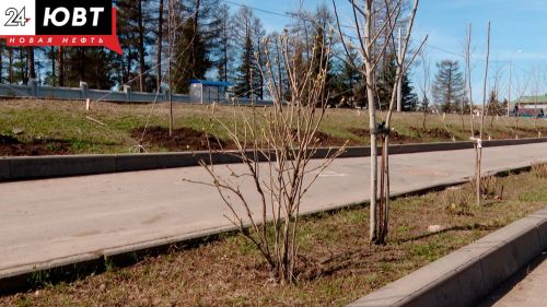 В Татарстане высадят деревья к 40-летию катастрофы на ЧАЭС