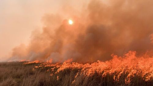 Жителя Урсалы оштрафовали за пал сухой травы, приведший к пожару