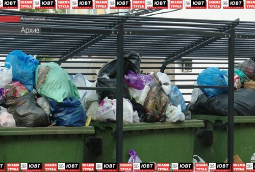 15 альметьевцев привлекли к ответственности за оставленный вне контейнеров мусор
