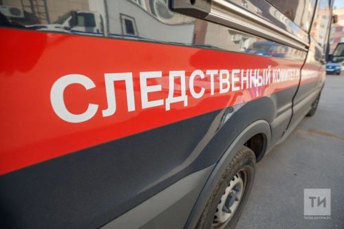 Двух подростков будут судить за кражи из пунктов выдачи заказов Альметьевска