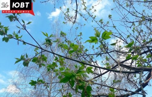 Для тех, кто не успел отдохнуть: россиян ждут трехдневные выходные