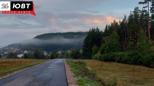 В Татарстане выпустили пять краснокнижных соколов-балобанов в дикую природу