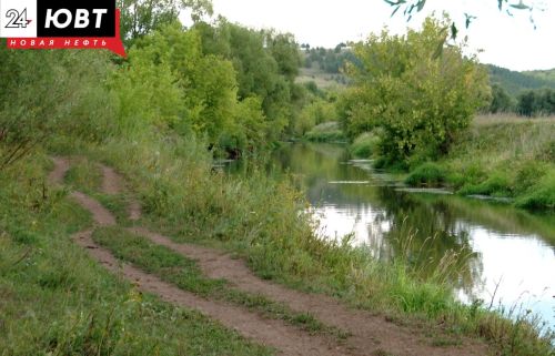 Волонтеры Заинска очистили пять километров реки