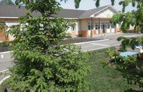 Д/с № 62 "Тирэк"